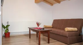 Pensiunea Casa Cartianu - Image 4