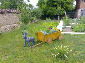Guest House Petrova - Image 4