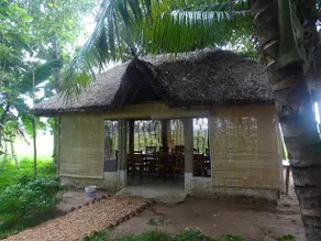Paddy Homestay - Image 2