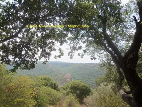 Zimmer Frey Manot - Image 4