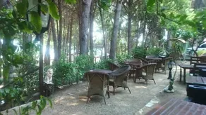 Wind Heaven Garden - Image 2