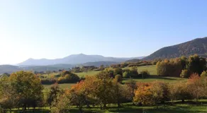 Le Clos du Haslach - Image 2