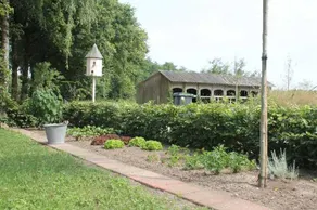 Bed & Breakfast De Buxushoeve - Image 4