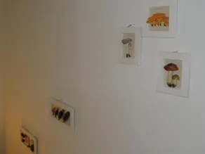 Mas d'Alaure - Image 3