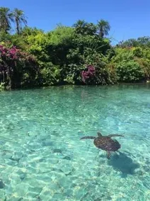 Miyakojima Guest House Reef - Image 3