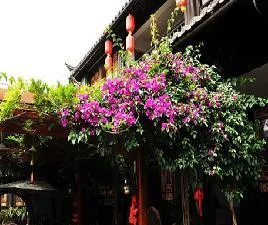 PEONY GARDEN INN - Image 3