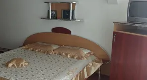 Vil? în Voineasa Vâlcea - Image 3