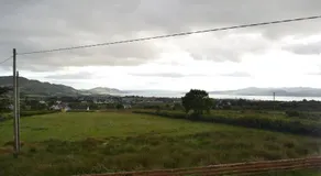 Sally's Vineyard - Image 4