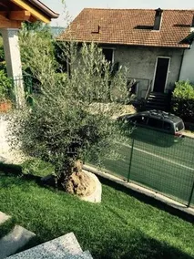 Villetta Le Palme - Image 5