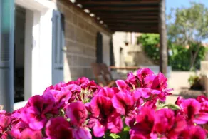 Casa Susini - Image 2