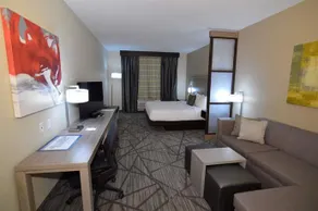 BEST WESTERN PLUS HOUSTON I-45 NORTH INN & SUITES - Image 5
