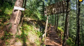 Livingstone Ojuven Treehouses - Image 2