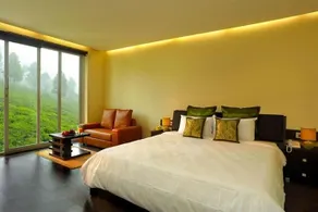 The Point - Image 3
