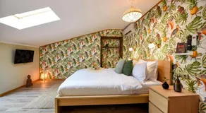 PLANTS ATTIC STUDIO - BEST LOCATION - Old Town - Image 2