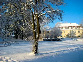 Gartenzimmer im Schloss Neuhausen - Image 3