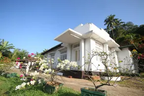 Home Away From Home - Image 2