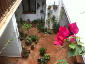 La Posada de Colomera - Image 2