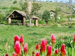 Quinta da Alagoa - Image 5
