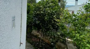 Rigos House at Askeli beach, Poros island - Image 4