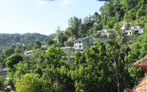 The Kandyan - Image 4