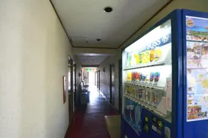 Sudomarikan - Image 3