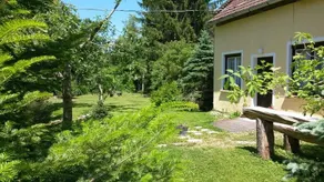 Liget Vendeghaz Oriszentpeter - Image 3
