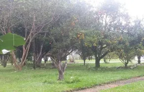 Hotel Campestre Camino Real Pereira - Image 4