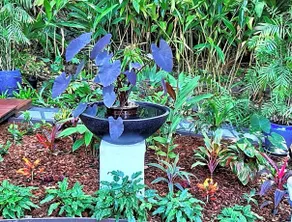 Montville B&B - Image 3