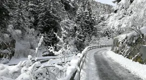 Appartamento Fiordalpe - Image 3