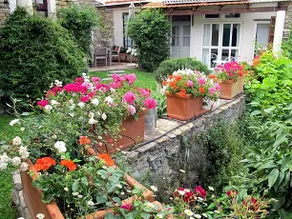 Sul Cammino - Image 5