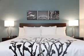 Sleep Inn & Suites by Choice Hotels - Image 3