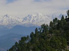 AyurVAID: Kalmatia - Image 5