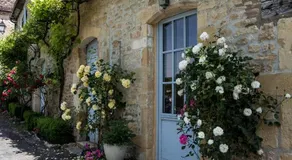 Gite Grottes du Perigord - Image 5