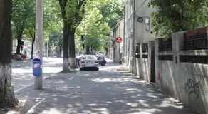 Friendy Studio - Image 3