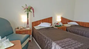 Hotel Bradul - Image 4