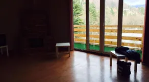 Vila Sinaia Private - Image 2