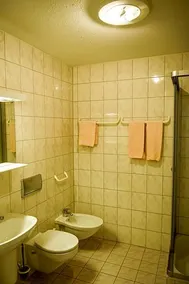 Waldhotel Gut Matheshof - Image 4
