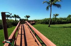 Beachcomber - Image 5