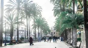 Barcelona Badalona Playa Terraza - Image 3