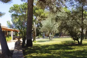 Rotes - Image 4