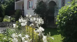 Apartman Jasmin - Image 4