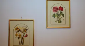 Residence Adler - Image 3