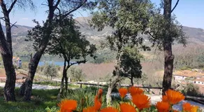 Cabana do Amor - Douro Cotagge - Image 4