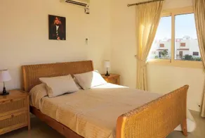 Coralia Dream 2 - Image 4