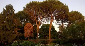 Arte Natura B&B - Image 5
