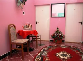 Biljski Krokodil - Image 3
