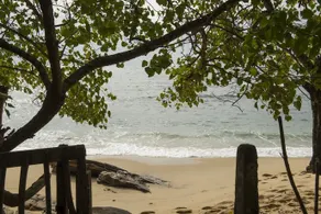 Walatta House 3BR Beachfront Villa, Private Pool, Chef - Image 4