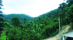 Honeyrock Homestay - Image 3