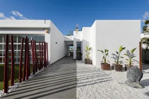 White Island Dream - Image 2