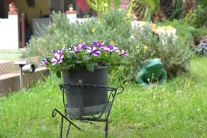 B&B Giosy - Image 5